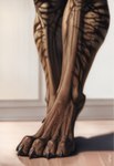 anatomically_correct anthro brown_body brown_fur claws close-up feet fur male male_focus muscular muscular_male paws solo striped_body striped_fur stripes vein avaru avaru_(character) felid feline humanoid mammal 2024 hi_res tagme