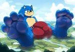 4_toes anthro bodily_fluids bulge claws clothed clothing feet foot_fetish foot_focus macro male soles solo sweat sweaty_feet toes underwear underwear_only massivegrowingbeast sonic_the_hedgehog_(series) sonic_the_hedgehog