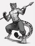 5_fingers abs anthro arm_wraps athletic baggy_pants digitigrade dipstick_tail fangs felid fighting_pose fingers hi_res holding_object holding_spear holding_weapon long_tail male mammal markings melee_weapon metahn monochrome muscular muscular_male pantherine paws polearm pose snow_leopard solo spear tail_markings weapon whiskers wraps