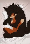 anthro bed bed_sheet bedding black_body black_fur cuddling duo embrace eyes_closed fur furniture head_on_pillow holding_partner hug larger_male lying male male/male nude_male on_bed on_side size_difference sleeping smaller_male smile sysns canid canine canis fox mammal wolf hi_res