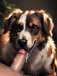 absurd_res ambiguous_gender australian_shepherd balls bestiality blurred_background bodily_fluids brown_body brown_fur canid canine canis cum cum_drip cum_in_mouth cum_inside cum_on_face cum_on_penis domestic_dog dripping duo faceless_character faceless_human faceless_male fellatio feral first_person_view floppy_ears fur genital_fluids genitals herding_dog hi_res human human_on_feral humanoid_genitalia humanoid_penis inside interspecies looking_at_viewer male mammal messy open_mouth open_smile oral pastoral_dog penile penis penis_on_tongue sex sheepdog shuffur smile tongue white_body white_fur