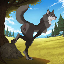 4_toes anatomically_correct anatomically_correct_anus anatomically_correct_genitalia anatomically_correct_pussy animal_genitalia animal_pussy anthro anus areola bedroom_eyes bent_over biped black_body black_fur black_nose black_pawpads blue_eyes breasts butt canine_genitalia canine_pussy casual_nudity chest_tuft claws cloud countershading day detailed_background digitigrade eyebrows eyelashes fangs feet female finger_claws fingers forest fur genitals grass grey_body grey_fur hanging_breasts hindpaw inner_ear_fluff inviting leaning looking_at_viewer looking_back looking_back_at_viewer mountain multicolored_body multicolored_fur narrowed_eyes nature neck_tuft nipples nude outdoor_nudity outside pawpads paws pink_anus pink_areola pink_nipples pink_pussy plant presenting presenting_anus presenting_hindquarters presenting_pussy pussy raised_leg raised_tail rear_view rock seductive sky smile soles solo standing tail tail_anus teeth toe_claws toes tree tuft two_tone_pussy white_body white_fur unknown_director canid canine canis mammal werecanid werecanine werecreature werewolf wolf absurd_res hi_res