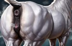 animal_genitalia animal_pussy anus butt clitoral_winking clitoris equine_anus equine_pussy female feral fur genitals muscular muscular_female presenting presenting_hindquarters puffy_anus pussy raised_tail simple_background solo steam white_body white_fur adarmalik equid equine horse mammal