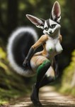 absurd_res anthro big_ears big_tail black_body black_fur breasts canid canine female fennec fluffy forest forest_path fox fur green_eyes green_nipples green_nose hi_res hybrid mammal mephitid nipples orange_body orange_fur plant seductive skunk solo stablexai tree white_body white_fur