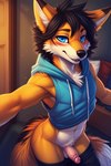 absurd_res anthro ascar ascar_the_maned_fox_(character) bedroom black_hair blue_eyes blush bottomwear bottomwear_down canid canine cheek_tuft clothed clothing facial_tuft fluffy fox genitals hair hi_res hybrid looking_at_viewer male mammal maned_wolf neck_tuft pants pants_down partially_clothed penis selfie sleeveless sleeveless_hoodie small_penis solo tuft