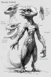 3_toes 4_fingers anthro claws drawing feet female fingers flat_chested grey_background grey_body horn long_tail nude pupils scales sharp_claws simple_background slit_pupils solo spikes spines text toes dimot humanoid kobold scalie black_and_white english_text hi_res monochrome portrait sketch traditional_media_(artwork)