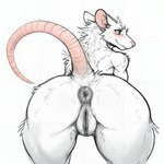 anthro anus butt darkened_genitalia embarrassed female fur genitals nude nude_female presenting presenting_anus presenting_hindquarters presenting_pussy pussy raised_tail solo white_body white_fur wide_hips vilkas00 mammal murid murine rat rodent absurd_res hi_res