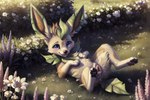 absurd_res animal_genitalia animal_pussy canine_genitalia canine_pussy eeveelution female feral flower generation_4_pokemon genitals hi_res leafeon looking_at_viewer lying mammal nature nature_background on_back plant pokemon pokemon_(species) pussy solo venisoncreampie