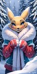 andromorph anthro christmas clothed clothing intersex looking_at_viewer smile snow snowing solo winter winter_clothing not_imayx digimon_(species) renamon 16:9 absurd_res attempted_signature hi_res portrait widescreen