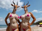 anthro areola areola_slip beach belly big_breasts bikini breasts camel_toe clothing duo female female/female seaside smile smiling_at_viewer swimwear wet wet_body silvicultor antelope bovid gazelle mammal animated hi_res webm