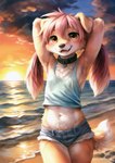 anthro beach bird_dog bottomwear breasts canid canine canis clothing collar domestic_dog female hair hi_res hotpants hunting_dog labrador looking_at_viewer mammal midriff navel nightdancer pigtails pink_hair raised_arms retriever sea seaside shirt shorts small_breasts solo sunset tank_top teenager topwear water young