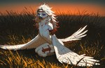 accessory anthro arched_back armband avian_feet beak blue_sclera blush breasts claws digit_ring evening feathered_wings feathers featureless_breasts female flat_chested fur grass hair headband highlights_(coloring) jewelry kneeling kneeling_on_ground long_hair looking_down neck_tuft plant red_highlights ring scuted_legs scutes slim smile solo tail_feathers toe_ring tuft white_body white_feathers white_fur white_hair winged_arms wings oldhroft avian absurd_res hi_res