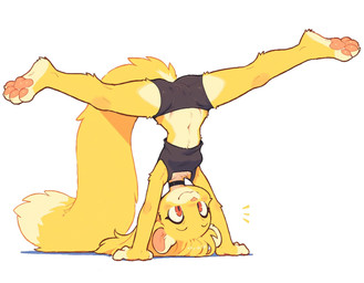 anthro black_bottomwear black_choker black_clothing black_jewelry black_necklace black_shorts black_topwear blonde_hair bottomwear breasts camel_toe choker clothed_anthro clothed_female clothing crop_top female female_anthro flexible genital_outline hair handstand jewelry long_tail midriff necklace pawpads pink_pawpads pussy_outline red_eyes shirt shorts simple_background small_breasts solo splits spread_legs spreading topwear upside_down white_background verbotenvertex mila_minx hi_res