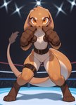 ambiguous_gender anthro belt big_hands fighting_pose fighting_ring fist looking_at_viewer pose solo tail_tuft tuft unusual_ears nonimousmate nintendo pokemon eeveelution hybrid kangaroo macropod mammal marsupial pokemon_(species)