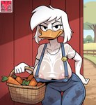anthro basket beak big_breasts bodily_fluids breasts clothed clothing container detailed_background disney farm female hair huge_breasts looking_at_viewer mature_female nipple_outline overalls solo sweat thick_thighs thigh_gap translucent translucent_clothing wet wet_clothing white_hair av-10 della_duck anatid anseriform avian bird duck hi_res