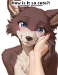 anthro blush duo female first_person_view hand_on_cheek happy looking_at_viewer simple_background smile solo_focus white_background aforpurposes beastars juno_(beastars) canid canine canis mammal wolf distracting_watermark hi_res watermark