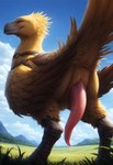 animal_genitalia animal_penis anus big_penis cetacean_penis dripping feathered_arms feathers feral field fluffy genitals grin low-angle_view male penis saddle side_view smile solo solo_focus standing tail_anus tail_feathers tapering_penis white_eyes hydra_(director) avian bird chicken chocobo galliform gallus_(genus) phasianid absurd_res hi_res