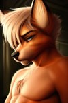 anthro blue_eyes canid canine caserus cheek_tuft chest_tuft dipstick_ears eyebrows facial_tuft fox fur grumpy hair inner_ear_fluff male mammal multicolored_ears orange_body orange_fur solo tuft