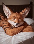 ambiguous_gender anthro arms_crossed bed big_ears black_stripes detailed_fur fluffy_fur flurry_ears fur furniture lying on_bed on_front orange_body orange_eyes orange_fur smile smiling_at_viewer solo stripes tail medlem canid canine fox mammal vulpera detailed