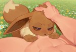 bestiality blush brown_body brown_fur duo fellatio feral first_person_view fur genitals human_on_feral interspecies looking_at_viewer male oral penetration penile penis pokephilia sex twinkaton nintendo pokemon eevee eeveelution generation_1_pokemon human mammal pokemon_(species)