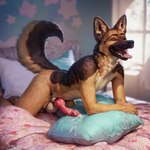 animal_genitalia animal_penis anthro bed bodily_fluids canine_genitalia canine_penis cum cum_on_penis cum_on_pillow eyes_closed furniture genital_fluids genitals grinding knot male masturbation open_mouth penis pillow pillow_humping solo tongue tongue_out askljof canid canine canis domestic_dog german_shepherd herding_dog mammal pastoral_dog