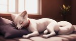 arctic_fox bed bedroom black_nose blush canid canine collar detailed_background dipstick_tail director_myrlonel eyes_closed female feral fox fur furniture hi_res mammal markings myrlonel pillow quadruped red_collar sleeping solo tail_markings tongue tongue_out white_body white_fur window