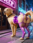 butt camel_toe city city_background clothing collar corset female feral garter_straps legwear lingerie looking_at_viewer neon_lights panties plump_camel_toe presenting presenting_hindquarters solo solo_focus topwear translucent translucent_clothing translucent_legwear underwear goldendog bird_dog canid canine canis domestic_dog hunting_dog labrador mammal retriever hi_res