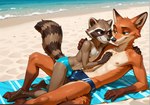 anthro beach bulge clothing cuddling disney duo eye_contact looking_at_another male male/male sea seaside speedo swimwear touching_chest water zoleth guardians_of_the_galaxy marvel zootopia nick_wilde rocket_raccoon canid canine fox mammal procyonid raccoon hi_res