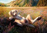 animal_genitalia animal_pussy anthro anus big_feet big_pussy black_claws black_pussy blurred_background breasts canine_genitalia canine_pussy cheek_tuft claws day detailed_background detailed_fur digitigrade eyes_closed facial_tuft feet female field floppy_ears flower foot_focus fur genitals grass hand_on_stomach handpaw hill light lying medium_breasts multicolored_body multicolored_fur neck_tuft nipples on_back outside pawpads paws pink_anus pink_nipples pink_nose plant plump_labia pussy reclining smile solo solo_focus spread_legs spreading sunlight tan_body tan_fur three-quarter_view tree tuft whisker_spots white_body white_fur blp bird_dog canid canine canis domestic_dog hunting_dog labrador mammal retriever detailed hi_res