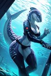 anthro blue_body breasts carpet_shark clothing countershading female fish looking_at_viewer marine markings non-mammal_breasts shark shark_fin shark_tail solo tail_markings whale_shark white_body white_countershading white_dots wide_hips