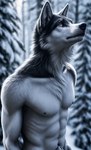 abs animal_genitalia anthro athletic barely_visible_genitalia black_nipples blurred_background canid canine canis chest_tuft fully_sheathed fur genitals junothewoofer looking_up male mammal nipples sheath snow solo tuft white_body wolf