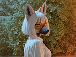 anthro female solo sk_main canid canine mammal maned_wolf hi_res tagme
