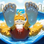 5_toes amusement_park bottomwear clothing cloud day eyes_closed feet foot_focus fur humanoid_feet shorts smile soles toes water water_park wet white_body white_fur yellow_body yellow_fur anonymous_director sonic_the_hedgehog_(series) miles_prower canid canine fox mammal hi_res