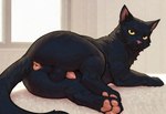 anus balls black_body black_fur feral fur genitals looking_at_viewer male pawpads paws penis slightly_chubby solo domestic_cat felid feline felis mammal