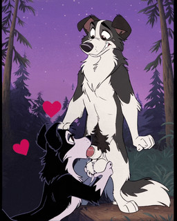 animal_genitalia anthro balls canine_genitalia duo expressive female fur genitals hair knotting male male/female nude oral oral_knotting oral_penetration penetration penis sex shy toony white_body 77zack canid canine canis domestic_dog mammal cartoon animated