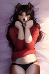 anthro bed bed_sheet bedding black_clothing black_panties black_underwear borzoi brown_body brown_fur brown_hair camel_toe canid canine canis clothing crotch_tuft domestic_dog female first_person_perspective first_person_view fur furniture hair hand_on_chest hi_res high-angle_view hunting_dog kravino long_hair looking_at_viewer lying lying_on_bed mammal navel on_back on_bed panties red_clothing red_sweater red_topwear sighthound smile solo sweater topwear tuft underwear