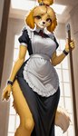 anthro blonde_hair brown_eyes claws clothing female fur hair holding_object inside looking_at_viewer low-angle_view maid_uniform mouth_closed outline short_sleeves solo standing uniform yellow_body yellow_fur ayo_keito isabelle_(animal_crossing) canid canine canis domestic_dog mammal absurd_res hi_res