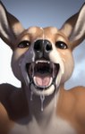 absurd_res ambiguous_gender anthro bedroom_eyes bodily_fluids cum cum_drip cum_in_mouth cum_inside cum_on_face cum_on_penis dripping excessive_cum excessive_genital_fluids genital_fluids genitals hi_res kangaroo looking_pleasured macropod male mammal marsupial messy mouth_shot narrowed_eyes open_mouth oral penis presenting_mouth seductive shuffur solo