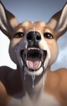 absurd_res after_oral ambiguous_gender anthro bedroom_eyes bodily_fluids cum cum_drip cum_in_mouth cum_inside cum_on_face cum_on_penis dripping excessive_cum excessive_genital_fluids gaping_mouth genital_fluids genitals hi_res kangaroo looking_pleasured macropod male mammal marsupial messy mouth_shot narrowed_eyes open_mouth oral penis presenting_mouth seductive shuffur solo