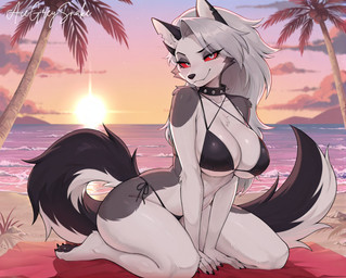 anthro beach_background big_breasts bikini breasts clothing collar director_acegreysnake female fluffy fluffy_tail kneeling_position palm_tree plant solo spiked_collar spikes sunset swimwear tree helluva_boss loona_(helluva_boss) hi_res