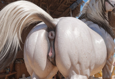 animal_genitalia animal_pussy anus barn black_pussy blonde_hair equine_anus equine_genitalia equine_pussy female feral genitals hair looking_at_viewer looking_back nude nude_female plant puffy_anus pussy raised_tail solo standing tail_up white_body mare_fan_ultimate equid equine mammal