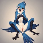 4_fingers 4_toes anthro beak belly blue_body blue_eyes blush blush_lines breasts claws covering covering_breasts covering_self digitigrade feathered_wings feathers feet female fingers fluffy genitals looking_away neck_tuft presenting presenting_pussy pussy scuted_arms scuted_legs scutes shy simple_background sitting sitting_on_ground slim slim_female small_breasts smile solo spread_legs spreading tail_feathers talons toes tuft white_belly wings oldhroft avian bird blue_jay corvid jay_(bird) new_world_jay oscine passerine hi_res