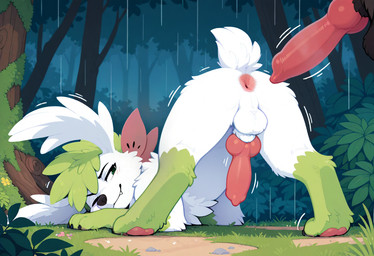 animal_genitalia animal_penis anus balls canine_genitalia canine_penis cute_fangs feral fluffy genitals head_down_ass_up imminent_anal imminent_sex jungle knot male male/male moss offscreen_male outside pawpads penis plant raining scut_tail sheath short_tail solo solo_focus spread_legs spreading tuft fauxpaw nintendo pokemon generation_4_pokemon legendary_pokemon pokemon_(species) shaymin sky_forme_shaymin