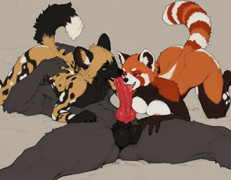 69_position abs animal_genitalia animal_penis anthro anthro_on_anthro arched_back areola balls bisexual black_body black_fur bodily_fluids body_worship breast_squish breasts brown_body brown_fur butt canine_genitalia canine_penis claws collaborative collaborative_fellatio collaborative_sex darkened_balls darkened_genitalia erection fellatio female finger_claws fingers fur genital_fluids genital_worship genitals green_eyes grey_body grey_fur group group_sex knot licking lying male male/female markings multicolored_body multicolored_fur narrowed_eyes nipples nude on_back open_mouth oral orange_body orange_fur penile penis penis_lick penis_worship raised_tail red_eyes saliva saliva_on_penis sex sheath simple_background spots spread_legs spreading squish tail tail_markings teeth threesome tongue tongue_out trio tuft vein veiny_penis white_body white_fur anotheranon african_wild_dog ailurid canid canine canis mammal red_panda wolf hi_res