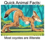 anthro breasts crawling female forest fur grass humor medium_breasts nude on_all_fours outdoors outline plant slim smile smug solo tan_body tan_fur text tree wheel_of_fortune canid canine canis coyote mammal meme