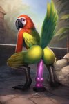 anthro avian bird butt crouching detailed detailed_feathers dildo feathers female macaw masturbation multicolored_body multicolored_feathers neotropical_parrot parrot sex_toy solo square tail_feathers true_parrot wings