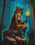 anthro beak black_body black_feathers breasts brown_body brown_feathers claws cloak clothing fantasy feathers female forest looking_at_viewer magic magic_user night non-mammal_breasts outside plant robe rock solo staff tan_body tan_feathers tree yellow_eyes gilkardex avian bird owl absurd_res hi_res