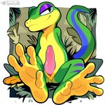 4_toes animal_genitalia anthro feet foot_focus genital_slit genitals green_body male penis sitting slit solo text toes yellow_body sergalbutt gex_(series) gex_the_gecko gecko lizard reptile scalie signature url