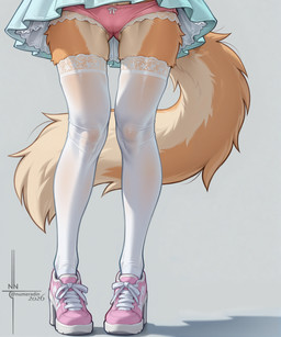 4_toes absolute_territory anthro boots bottomwear bow_ribbon brown_body brown_fur camel_toe clothed clothing countershading_fur feet female fluffy footwear frilly fur high_heeled_boots high_heels legwear lower_body miniskirt panties pleated_skirt shadow simple_background skirt solo standing stockings tight_clothing toes translucent tuft underwear upskirt numeradin canid canine canis mammal wolf hi_res portrait