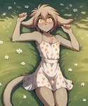 anthro blush brown_body brown_fur bulge chest_tuft clothed clothing crossdressing dress flower fur girly hair looking_at_viewer lying male on_back plant solo tuft yellow_eyes anontk twokinds keith_keiser basitin domestic_cat felid feline felis mammal hi_res
